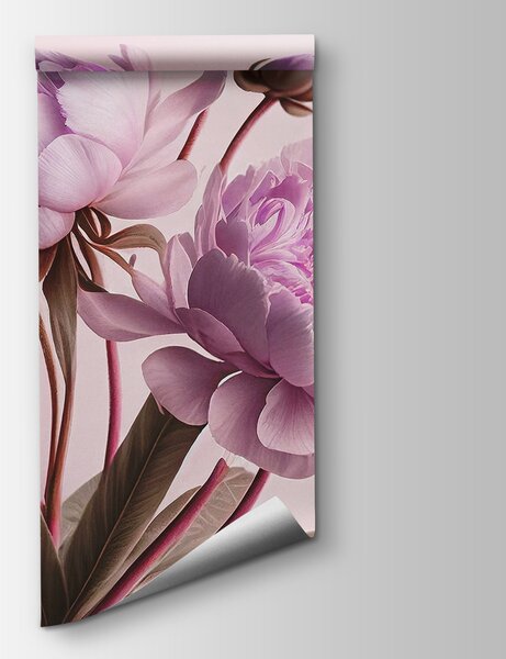 Fototapeta Eleganckie różowe piwonie w delikatnym rozkwicie, Fototapety Kwiaty, Popularne Fototapety, u70658v2 - Tapeko.pl