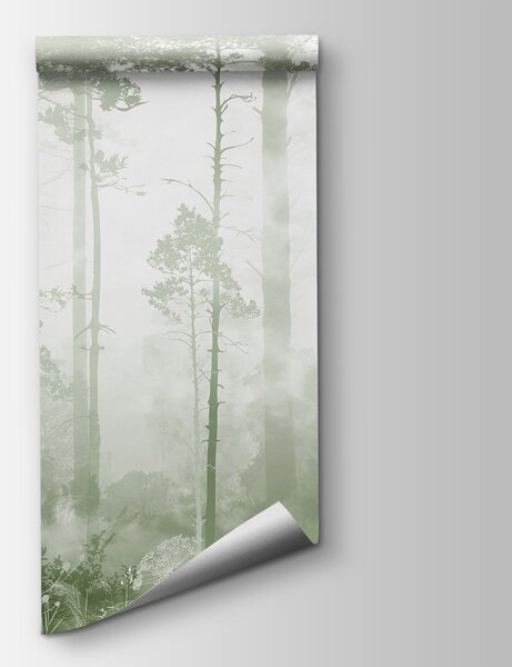 Fototapeta Mglisty las z wysokimi drzewami, Fototapety Las we mgle, Popularne Fototapety, u94439v2 - Tapeko.pl
