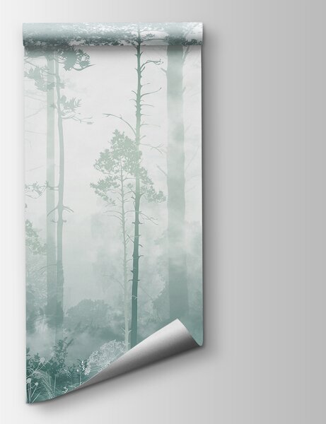 Fototapeta Mglisty las z wysokimi drzewami, Fototapety Las we mgle, Popularne Fototapety, u94439v3 - Tapeko.pl