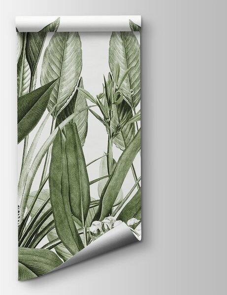 Fototapeta Bujna zieleń z delikatnymi detalami, Fototapety Dżungla, Popularne Fototapety, u96833v2 - Tapeko.pl
