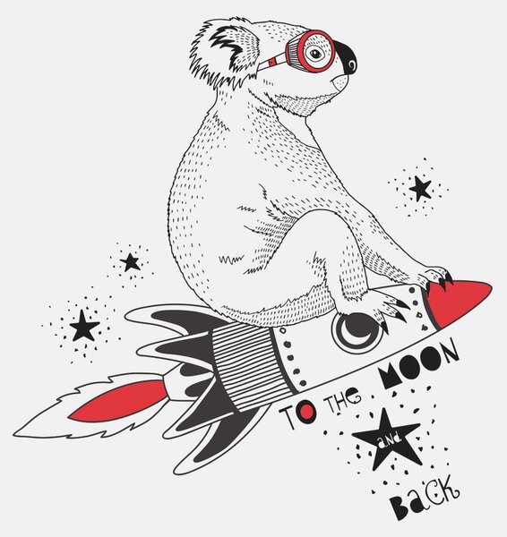Fototapeta Koala na rakiecie, Fototapety z zwierzętami, Popularne Fototapety, w00151 - Tapeko.pl