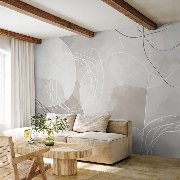Fototapeta Biało-szare tło z okręgami i liniami, Fototapety design, Popularne Fototapety, w00748 - Tapeko.pl