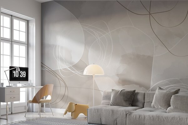Fototapeta Biało-szare tło z okręgami i liniami, Fototapety design, Popularne Fototapety, w00748 - Tapeko.pl