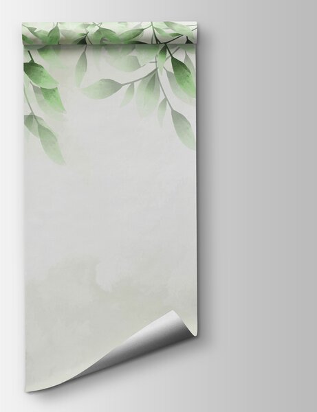 Fototapeta Zielone liście na białym tle, Fototapety 3d liście, Popularne Fototapety, w00772 - Tapeko.pl