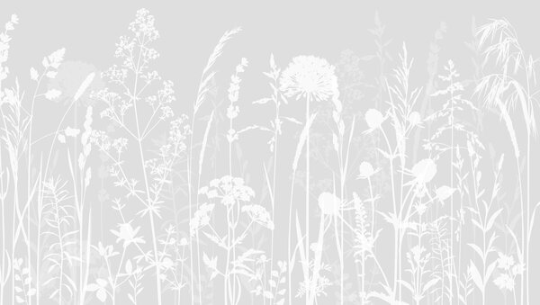 Fototapeta Białe sylwetki kwiatów, Fototapety Natura, Popularne Fototapety, w01270v1 - Tapeko.pl