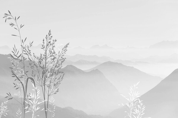 Fototapety Widok na góry z roślinami i kwiatami w kolorze szarym, Fototapety Natura, w07910v3 : Uwalls.pl