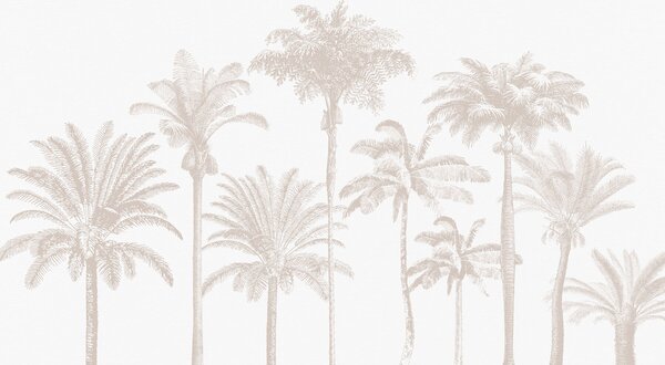 Fototapety Minimalna oaza tropikalnych palm, Fototapety Natura, w08111 : Uwalls.pl