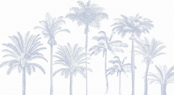 Fototapety Oaza tropikalnych palm, minimalny niebieski kolor, Fototapety Natura, w08111v4 : Uwalls.pl