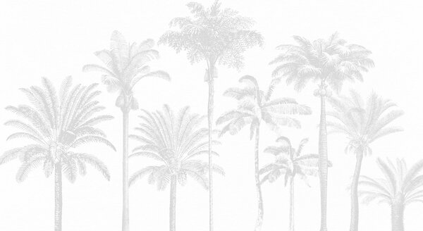 Fototapeta Grupa palm, Fototapety Las, Popularne Fototapety, w08111v2 - Tapeko.pl