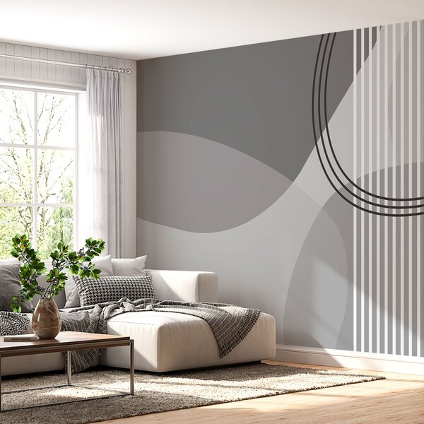 Fototapeta Szare i białe tło z okręgami i liniami, Fototapety design, Popularne Fototapety, w08173v3 - Tapeko.pl