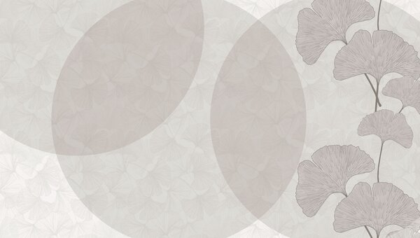 Fototapeta Szare i białe tło z okręgami i liniami, Fototapety 3d liście, Popularne Fototapety, w01465 - Tapeko.pl