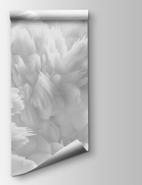 Fototapeta Zbliżenie białych puszystych obiektów, Fototapety 3d z kwiatami, Popularne Fototapety, w01474 - Tapeko.pl
