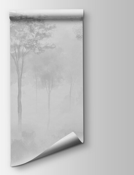 Fototapeta Grupa drzew w mglistym lesie, Fototapety Las we mgle, Popularne Fototapety, w01599v5 - Tapeko.pl