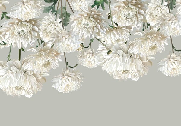Fototapeta Grupa białych kwiatów, Fototapety Kwiaty, Popularne Fototapety, w08251 - Tapeko.pl