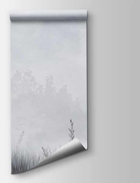 Fototapeta Mglisty krajobraz z drzewami i trawą, Fototapety Natura, Popularne Fototapety, w01547v1 - Tapeko.pl