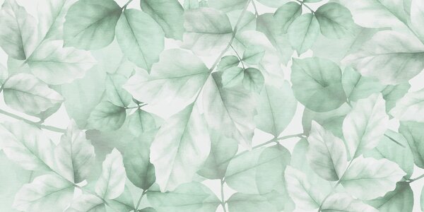 Fototapety Teksturowana tapeta z dużymi liśćmi w pastelowych odcieniach zieleni, Fototapety Natura, Fototapety Liście, w01090v3 : Uwalls.pl