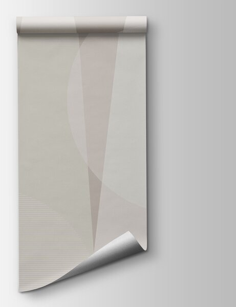 Fototapeta Szare i białe tło z okręgami i liniami, Nowoczesne Fototapety, Popularne Fototapety, w08304 - Tapeko.pl
