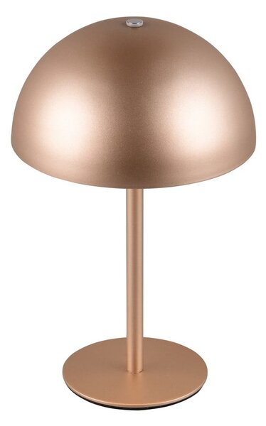 Lampa stołowa LED w kolorze brązu z metalowym kloszem (wysokość 21 cm) Munoz – Reality