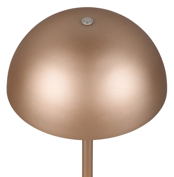 Lampa stołowa LED w kolorze brązu z metalowym kloszem (wysokość 21 cm) Munoz – Reality