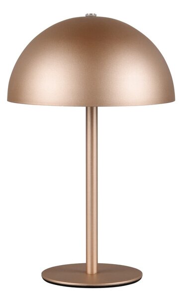 Lampa stołowa LED w kolorze brązu z metalowym kloszem (wysokość 21 cm) Munoz – Reality