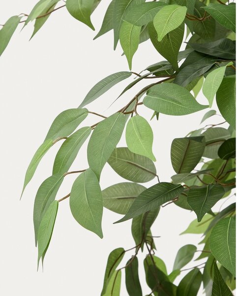 Sztuczny fikus (wysokość 180 cm) Ficus – Kave Home