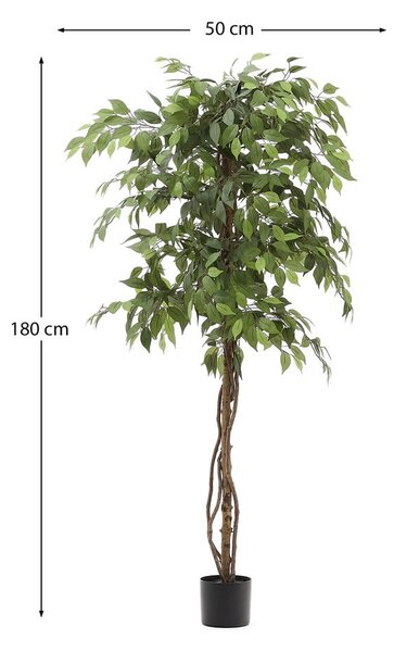Sztuczny fikus (wysokość 180 cm) Ficus – Kave Home