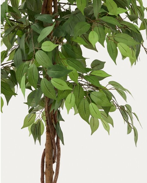 Sztuczny fikus (wysokość 180 cm) Ficus – Kave Home