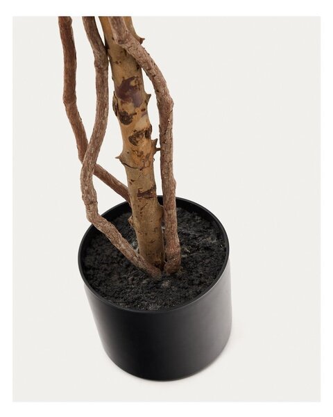 Sztuczny fikus (wysokość 180 cm) Ficus – Kave Home