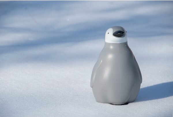 Plastikowa konewka 1,4 l Penguin – Esschert Design