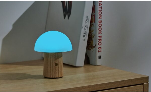 Naturalna lampa stołowa ze ściemniaczem i szklanym kloszem (wys. 13 cm) Alice – Gingko