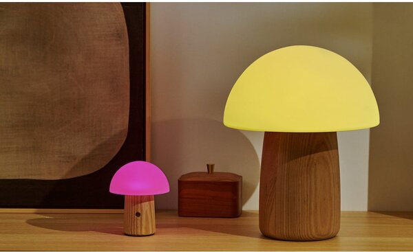 Naturalna lampa stołowa ze ściemniaczem i szklanym kloszem (wys. 13 cm) Alice – Gingko