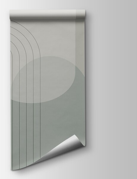 Fototapeta Szare i białe tło z liniami i okręgami, Fototapety Abstrakcja, Popularne Fototapety, w01920 - Tapeko.pl