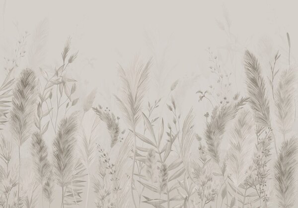 Fototapeta Kapryśna ilustracja botaniczna w neutralnych kolorach, Fototapety Natura, Popularne Fototapety, w02004v1 - Tapeko.pl