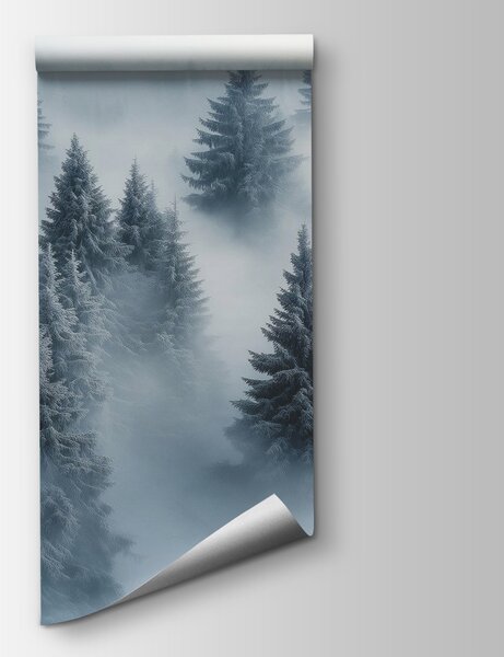 Fototapeta Grupa drzew pokrytych śniegiem, Fototapety Natura, Popularne Fototapety, w02064 - Tapeko.pl