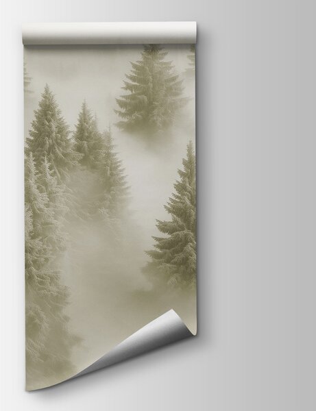 Fototapeta Grupa drzew we mgle, Fototapety Natura, Popularne Fototapety, w02064v2 - Tapeko.pl