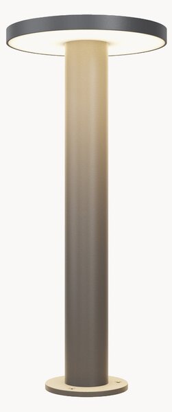Lampa zewnętrzna LED Wald