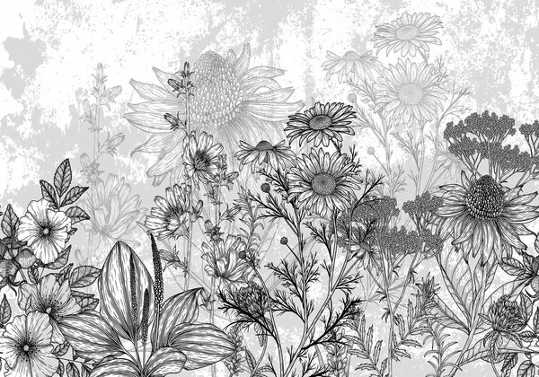 Fototapeta Czarno-biały obraz kwiatów, Fototapety Natura, Popularne Fototapety, w02523 - Tapeko.pl