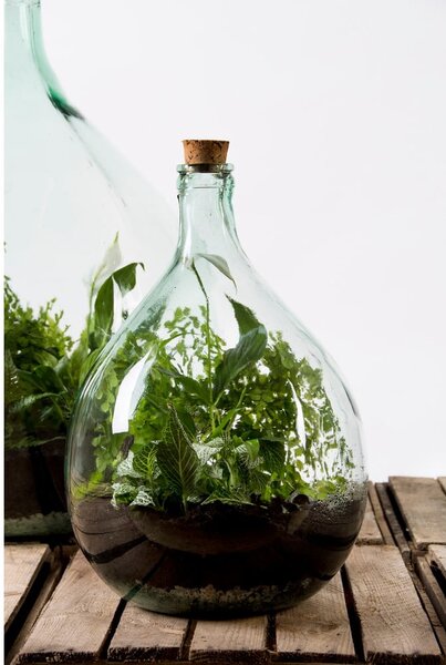 Szklane terrarium z narzędziami do uprawy roślin Esschert Design, 15 l