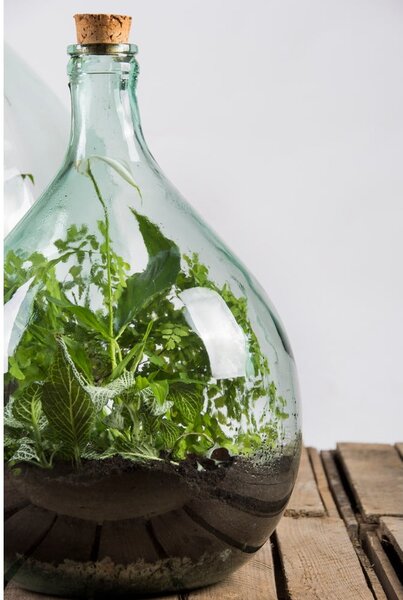 Szklane terrarium z narzędziami do uprawy roślin Esschert Design, 15 l