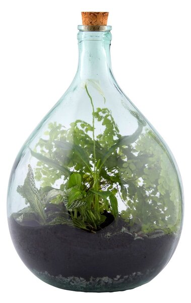 Szklane terrarium z narzędziami do uprawy roślin Esschert Design, 15 l