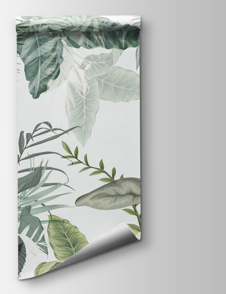 Fototapeta Rozwija się spokojny zielony gobelin natury, Fototapety Natura, Popularne Fototapety, w08822 - Tapeko.pl