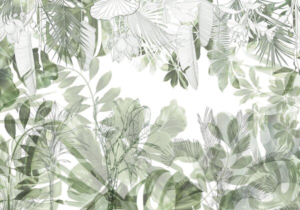 Fototapeta Botaniczne piękno w delikatnej zieleni, Fototapety Natura, Popularne Fototapety, w08823 - Tapeko.pl