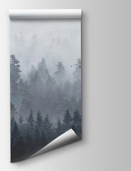 Fototapeta Grupa ptaków lecących nad lasem, Fototapety Las we mgle, Popularne Fototapety, u16629 - Tapeko.pl