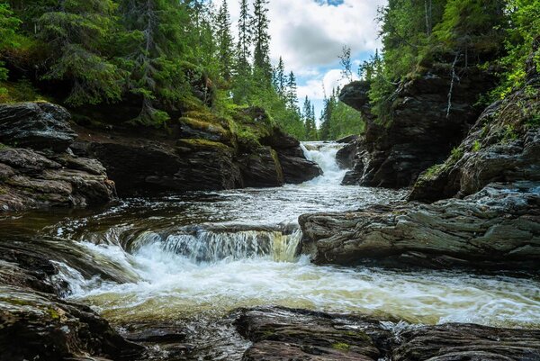 Fototapeta Rzeka ze skałami i drzewami, Fototapety Natura, Popularne Fototapety, u22898 - Tapeko.pl