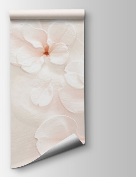 Fototapeta Grupa białych kwiatów, Fototapety 3d z kwiatami, Popularne Fototapety, u37030 - Tapeko.pl