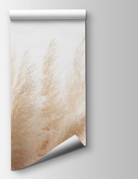 Fototapeta Grupa białej i brązowej trawy, Fototapety Natura, Popularne Fototapety, u51051 - Tapeko.pl