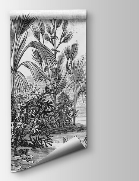 Fototapeta Czarno-biały rysunek lasu tropikalnego, Popularne Fototapety, Popularne Fototapety, u52597 - Tapeko.pl