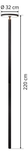 Lampa zewnętrzna LED Akito Lucande, antracyt, 220 cm, IP54 Lucande, czarny, aluminium, nowoczesny