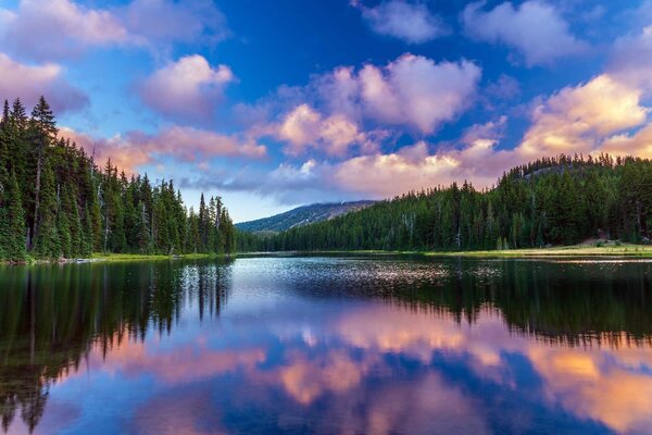 Fototapeta Jezioro otoczone drzewami i górami, Fototapety Natura, Popularne Fototapety, u58610 - Tapeko.pl