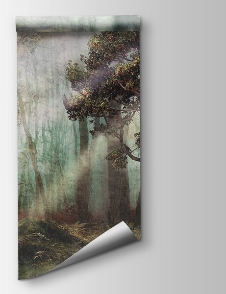Fototapeta Mglisty las z drzewami i mgłą, Fototapety Natura, Popularne Fototapety, u80281 - Tapeko.pl